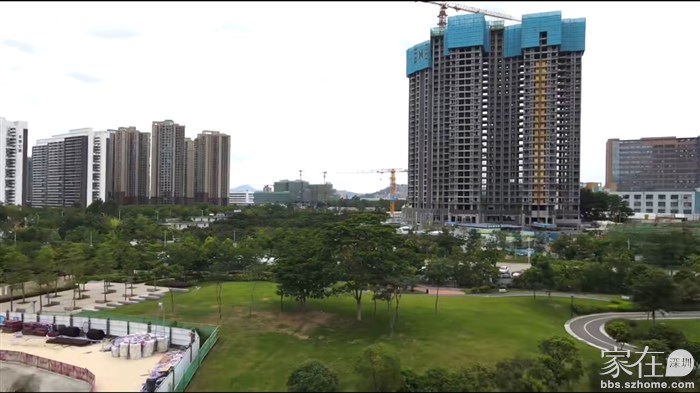 金二上空看揽翠台