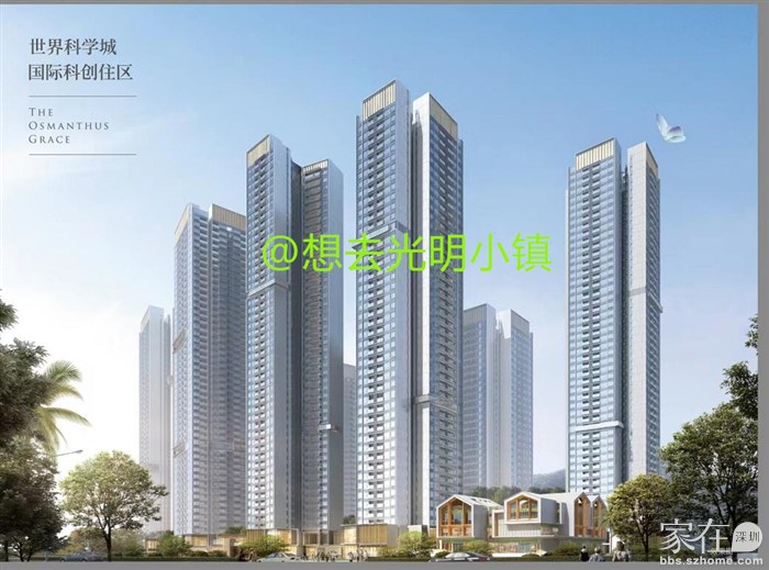 桂语兰庭正式版平面图及效果图_家在光明 - 家在深圳