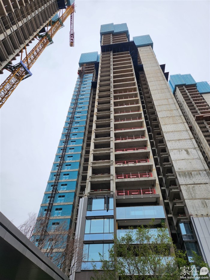 有买了卓越柏奕府的邻居吗？可以一起跟进交房和建设的进展 - 家在深圳