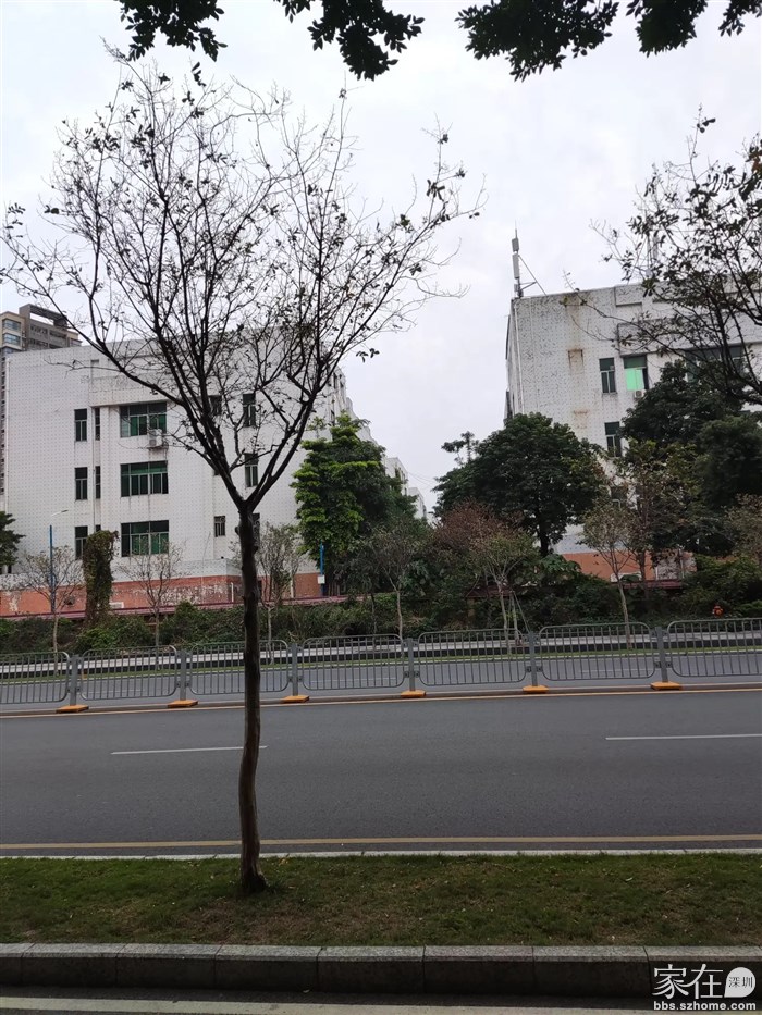 雍景城东侧几乎全是类似的低矮旧厂房，这一大片应该是上村的集体资产，以后发展起来相对容易。