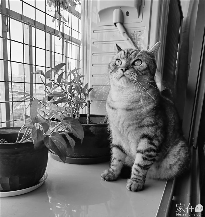 棍棍2015—2023，爱你