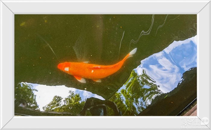 年年有余！幸福安康！