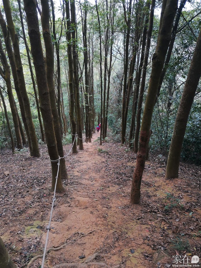 现在有些地方加了绳子，比前几年好走多了