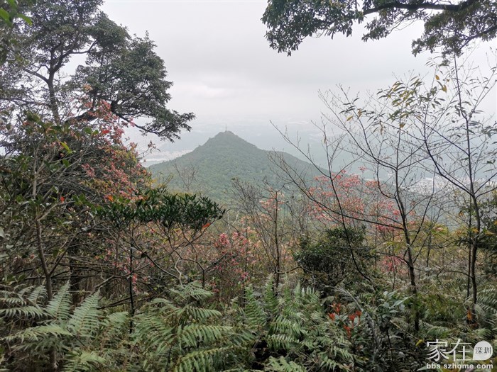 从金钟径看犁头尖，还挺尖的