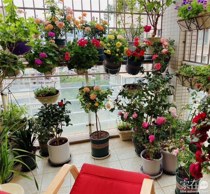 我能在阳台摇摇椅上躺一天🌿