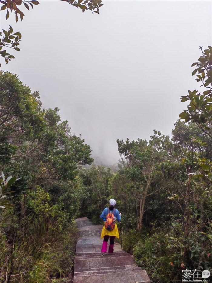 目标前方亭子，前几天大雾天，没来过的估计傻眼了