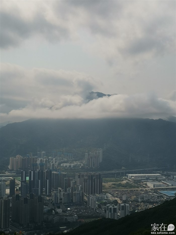 在大梧桐又可看云海了吧