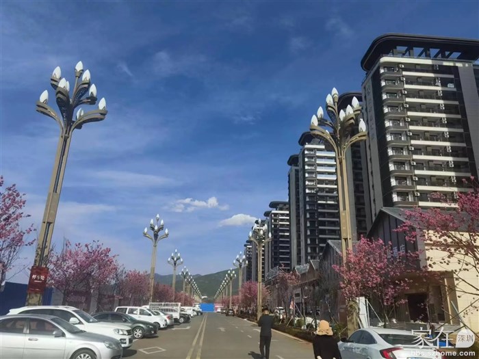 樱花大道，左侧2公里为丽江古城