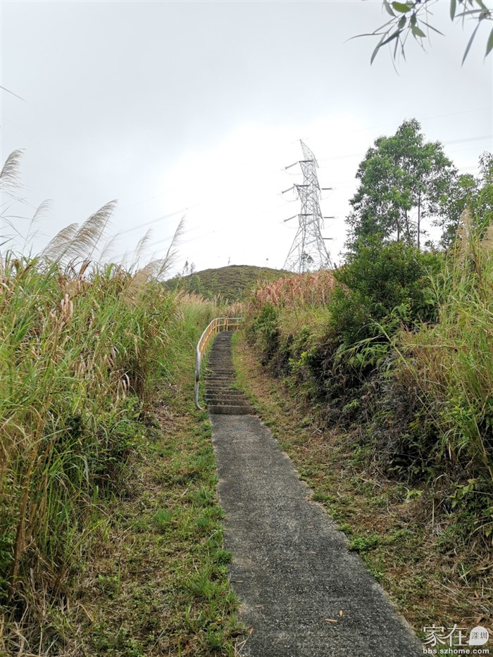 一小段林荫路后接台阶路