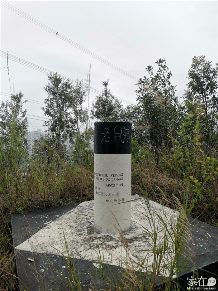 不用五分钟就见老鼠岭标高柱了，后面是罗湖风景，但山太矮视野被挡