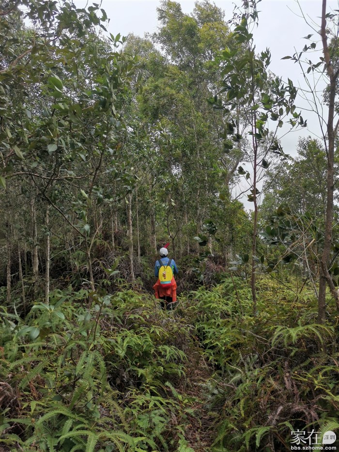 拍照后从另一边离开
