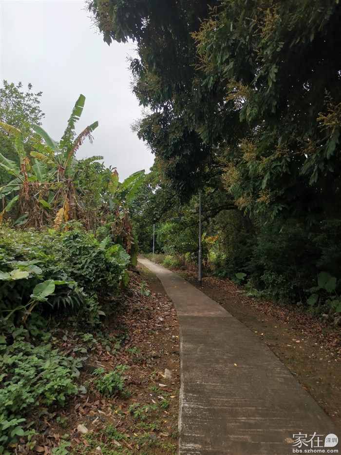 前面村屋前左拐