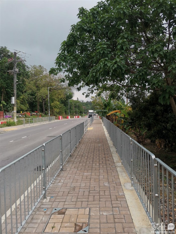 回到莲麻坑路继续前行