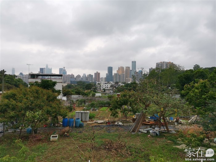 路边可见罗湖的楼房