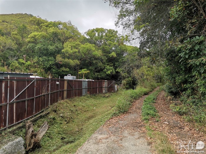 这路也可以开车的