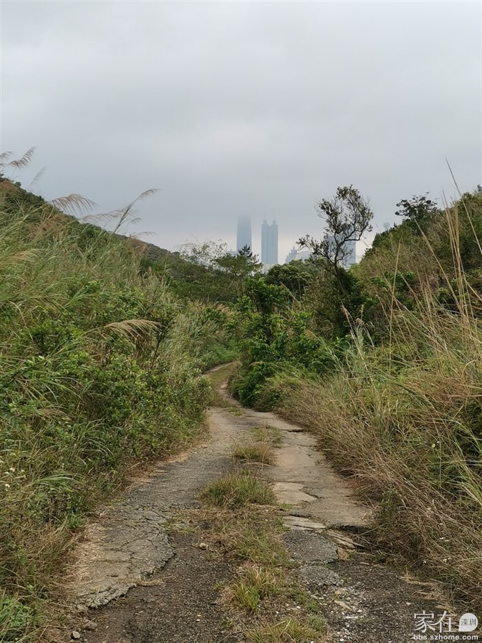 回头看到京基、地王