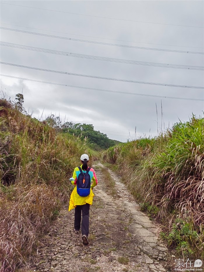 留意看路的右手边
