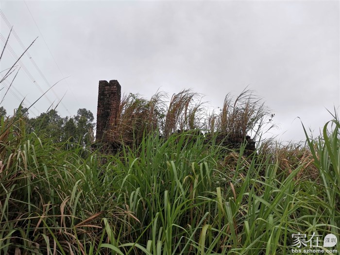 很快就看到双英砖厂的烟囱