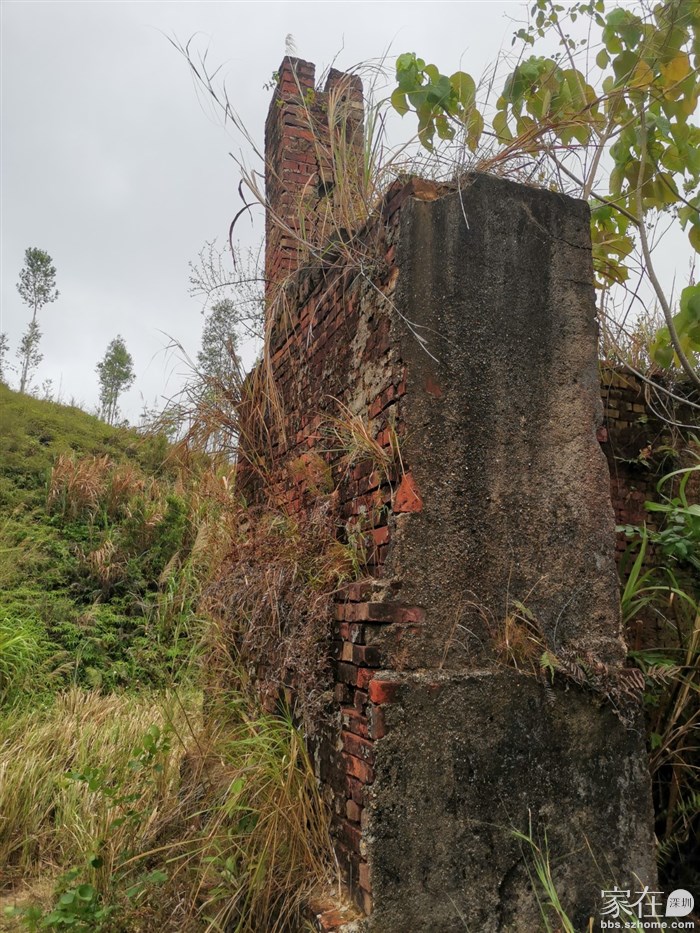 砖厂被草丛遮住了，小心走进去看看