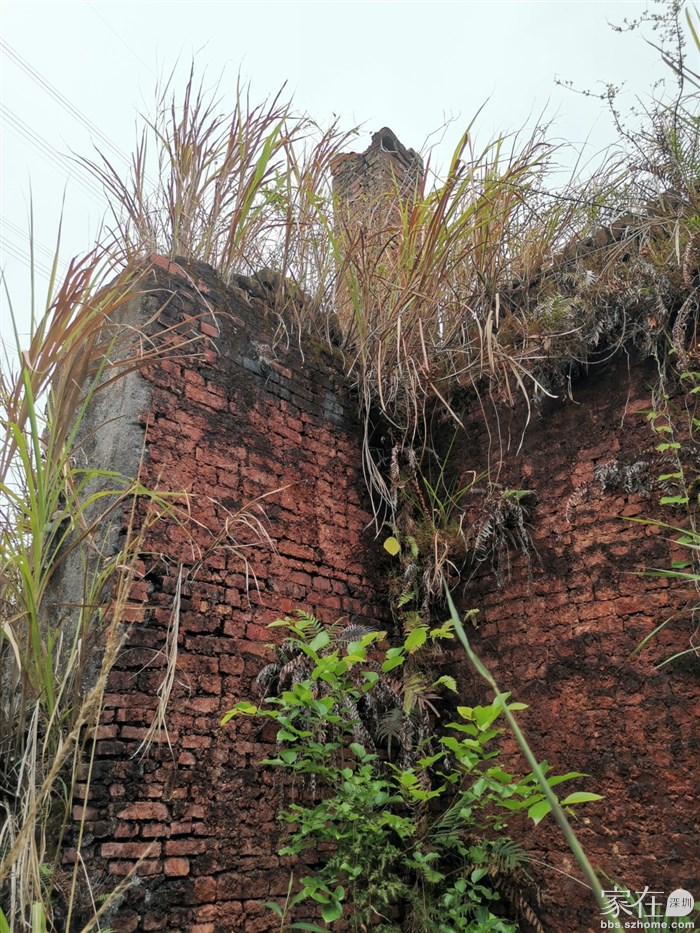 有些墙保存得还算完整