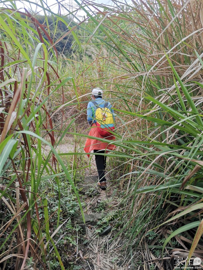 拍完照就钻出草丛，原计划参观完砖厂就返回的，但我们十二点多出发，这时才三点多时间还早，两人决定往前再走走看