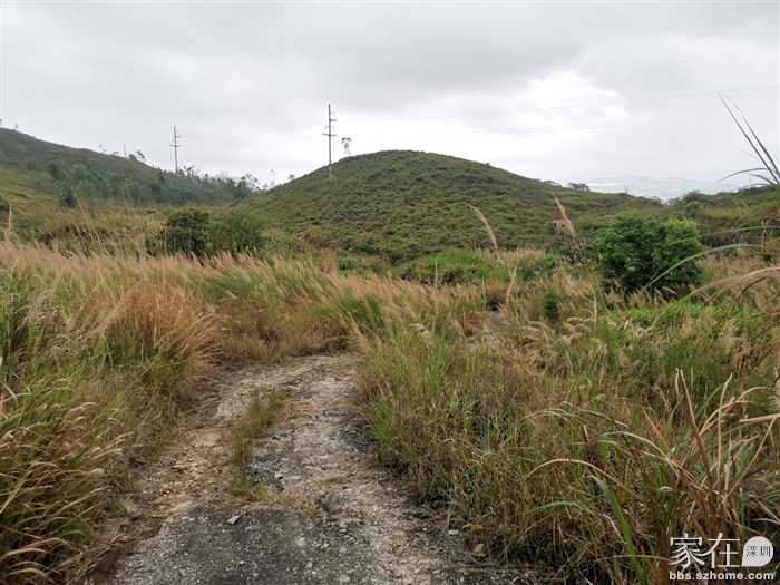 喜欢这样的自然风光