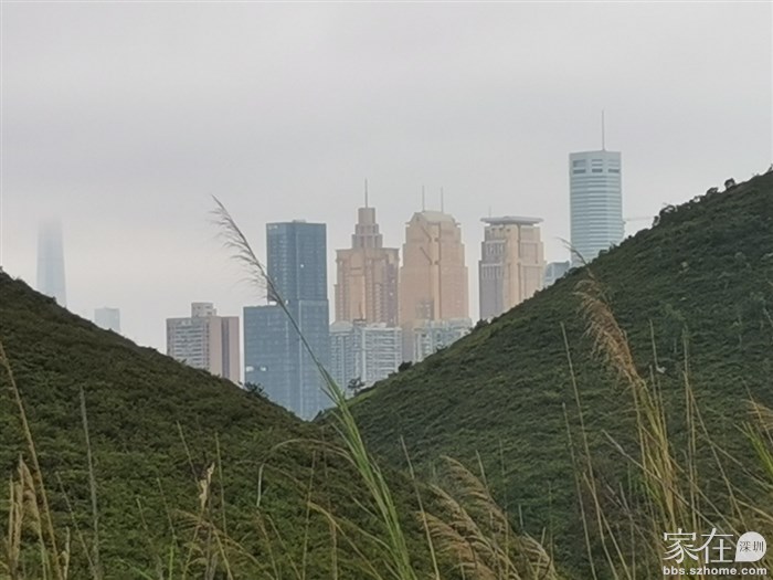 往右边一看，两山间是罗湖的高楼