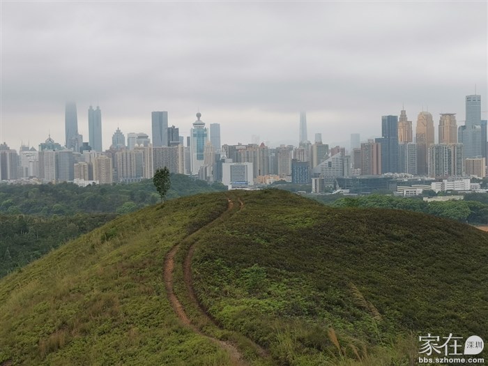 前面这棵树是这段山脊见到的唯一一棵