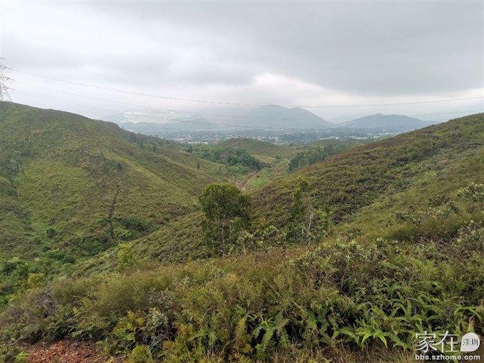 下面中间这路就是刚才走过的