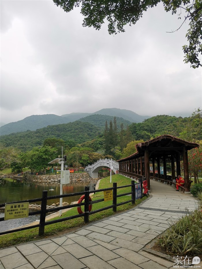 每次来都觉得这里很养眼