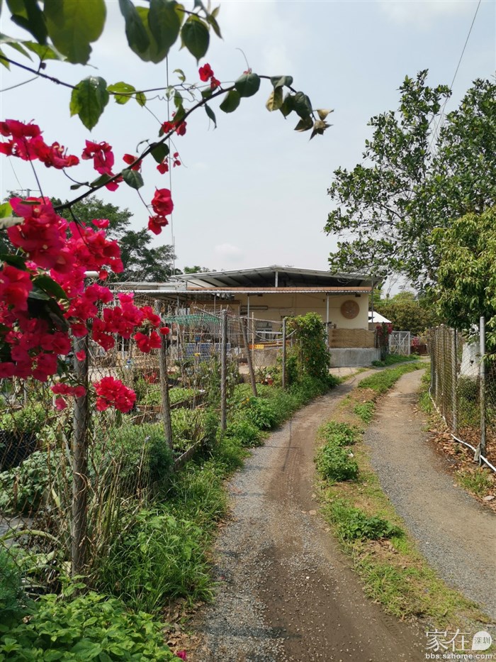 返回壁画村换条路走