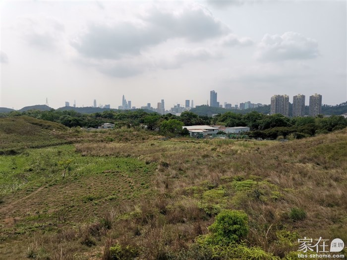 上小山坡可以看到深圳的楼房，这也有深圳信号