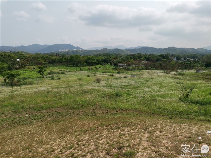 这边的草矮我们没逛