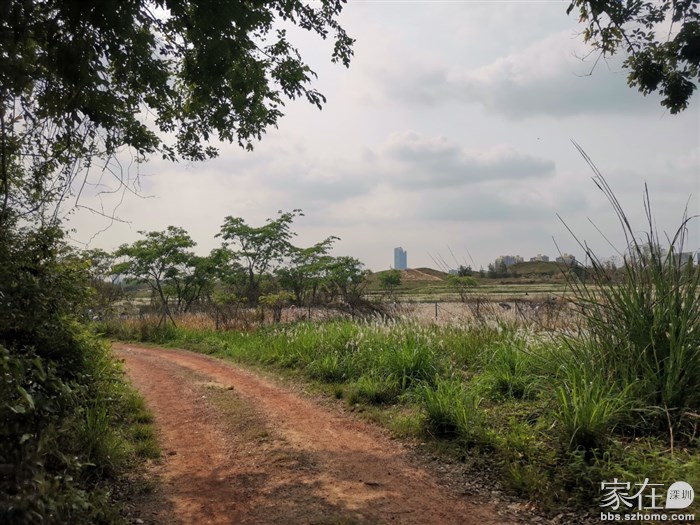 回看，从正道离开