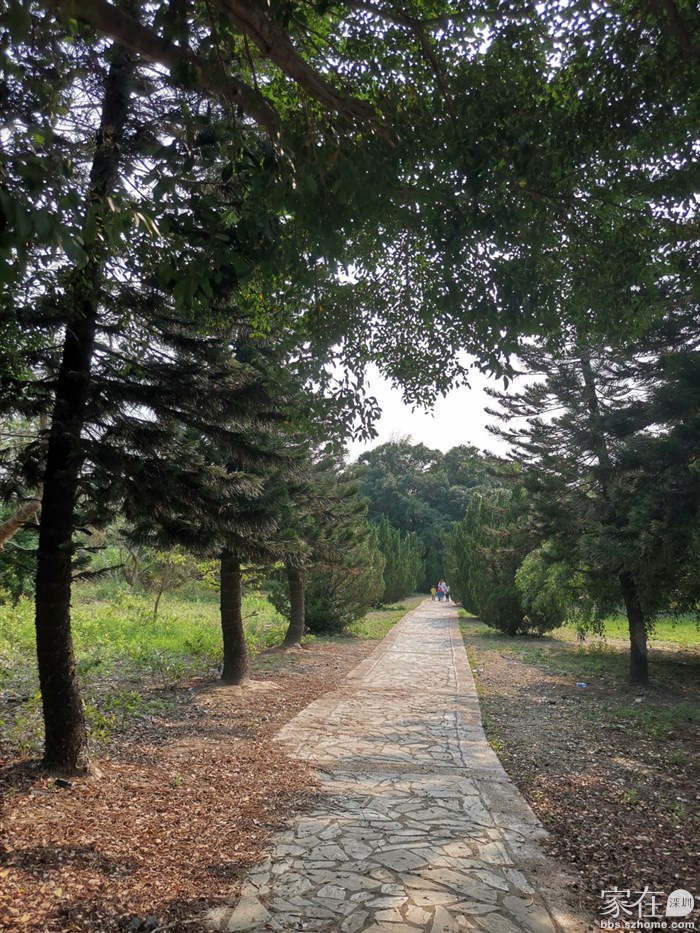 下去就是村子，我们看看就回头去左边的