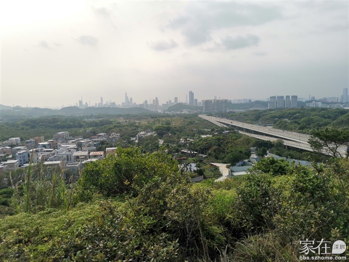 不用一分钟就登顶了，标高柱位置还在，但标高柱没了，山很矮，但视野开阔