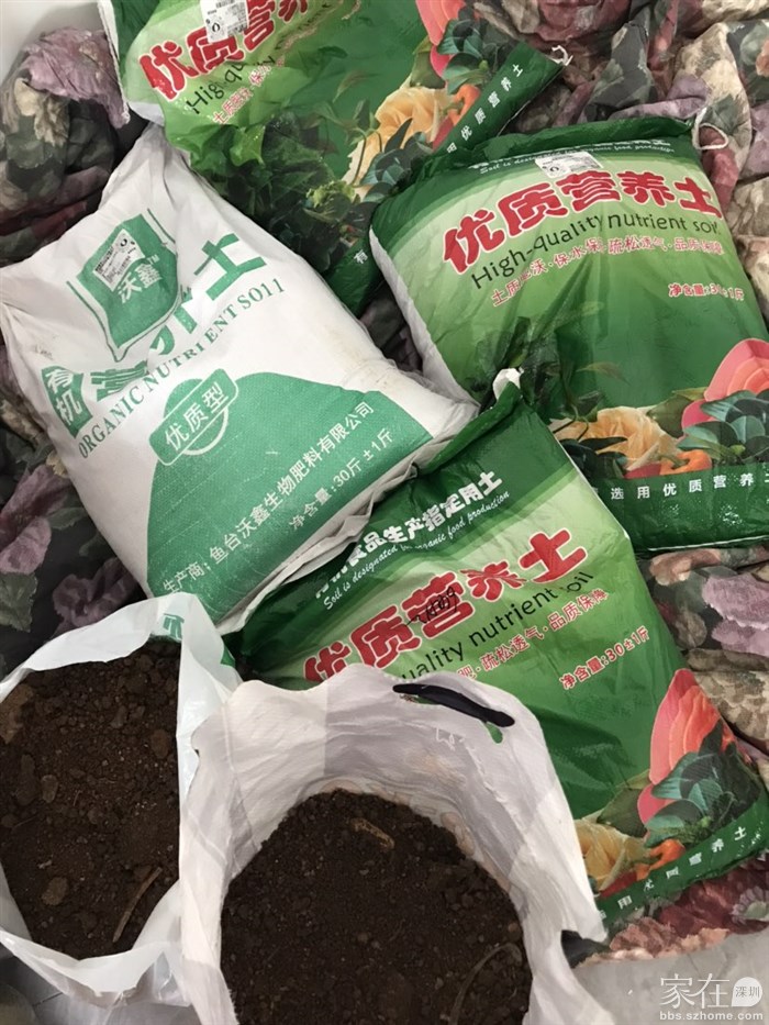 前前后后买了快30包的营养土，一包30斤