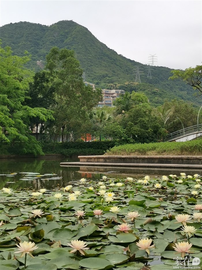 万科附近这片什么时候去都没啥人，挺好