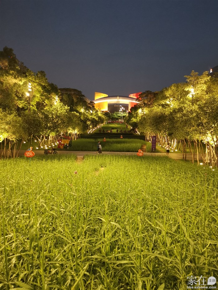 现才开了一点点，过段时间就成一片紫色花海了