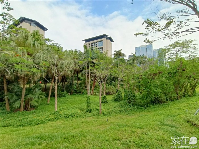 隔壁的资本市场学院和麒麟公馆