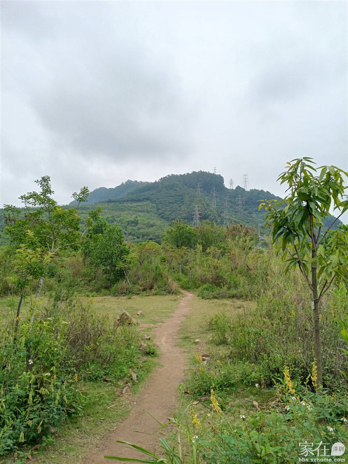 先下来，上面就是塘朗山了，这里之前可能是垃圾填埋场，