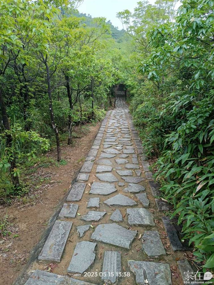 一路都是台阶或者这种平路，没有土路