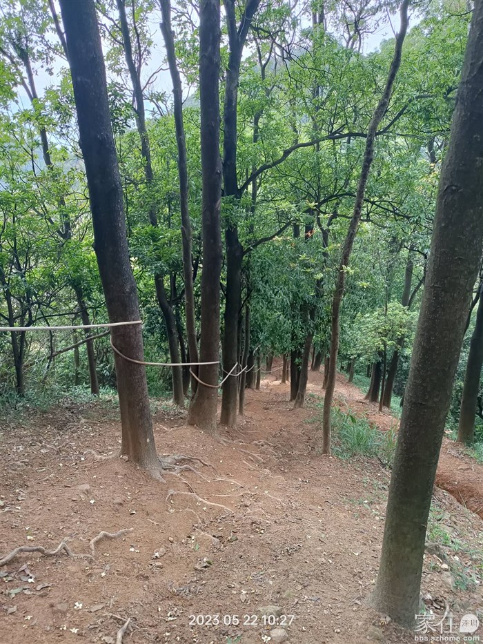 一路上台阶很少，有台阶的路段其实也是有土路的，任君选择。难爬的路段有绳索可以借力。