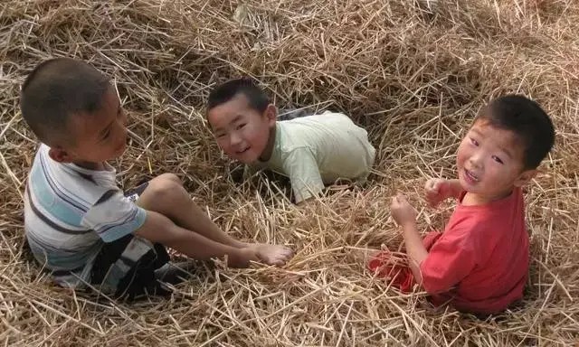麦秸垛就是那时候的蹦蹦床。