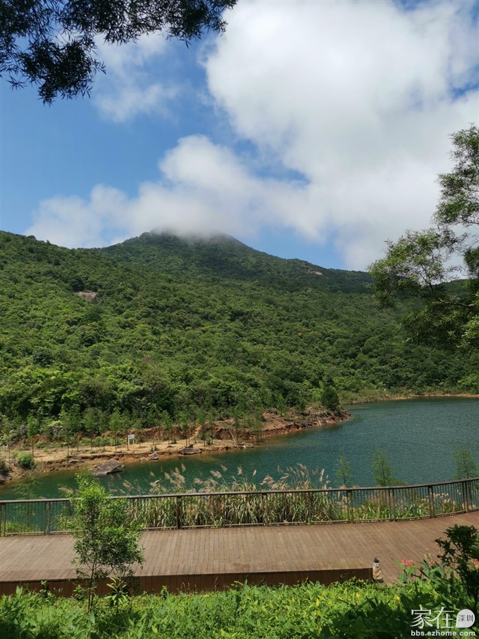 梅沙尖那尖尖不是什么时候都能见的