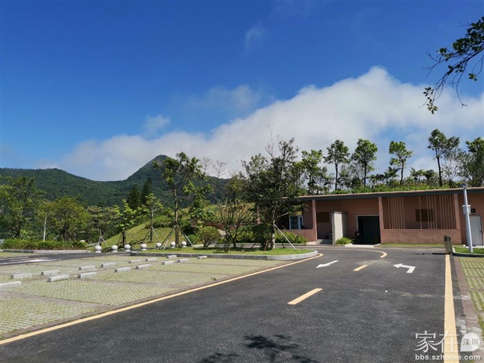 这停车场没开放？一台车都没见