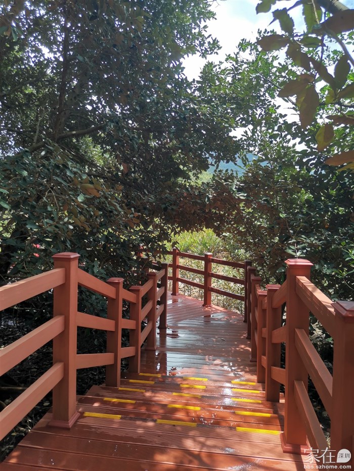 前几次来这栈道都是围起来维修没开放，这次终于是开的了