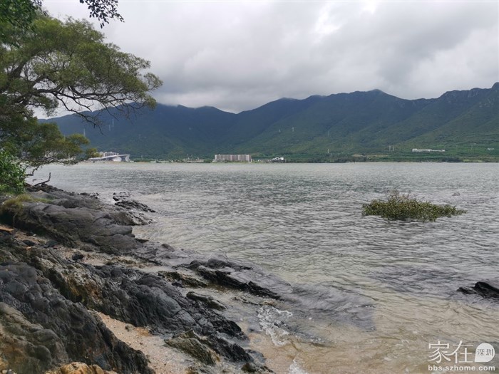 第一次碰到水位这么高