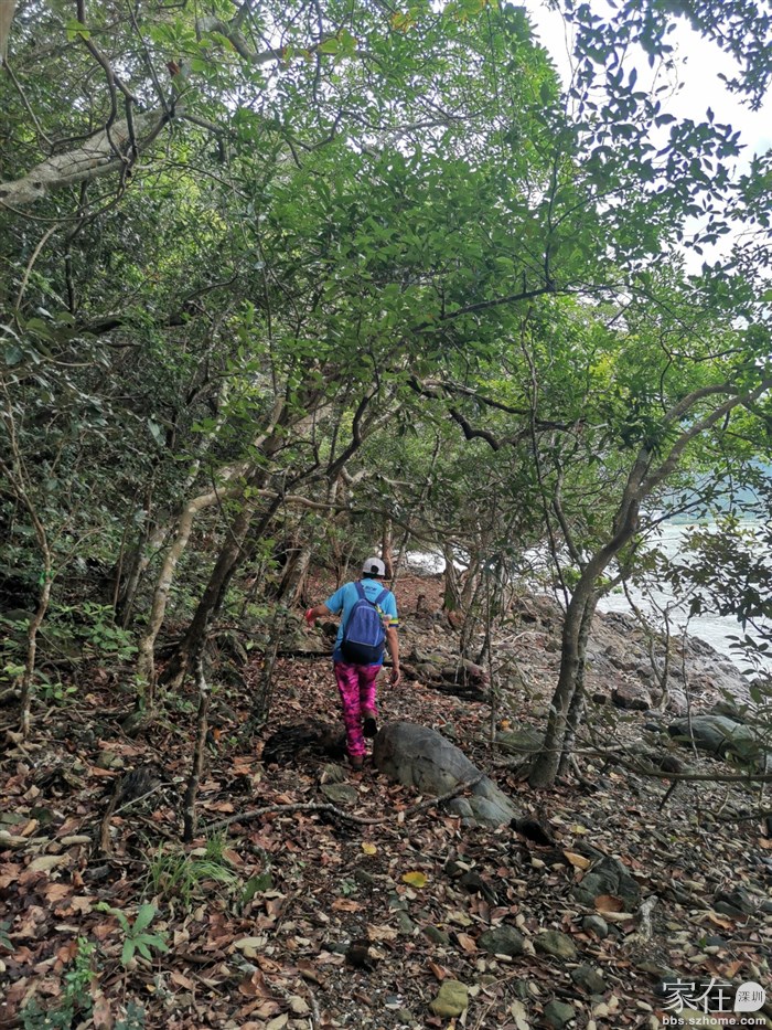 不想原路返回，水位又高，又些地方就要穿树林了