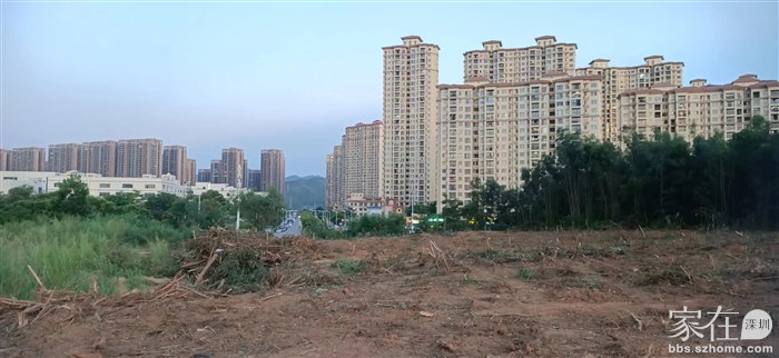 一个北八邻居拍的！开始动工了要！